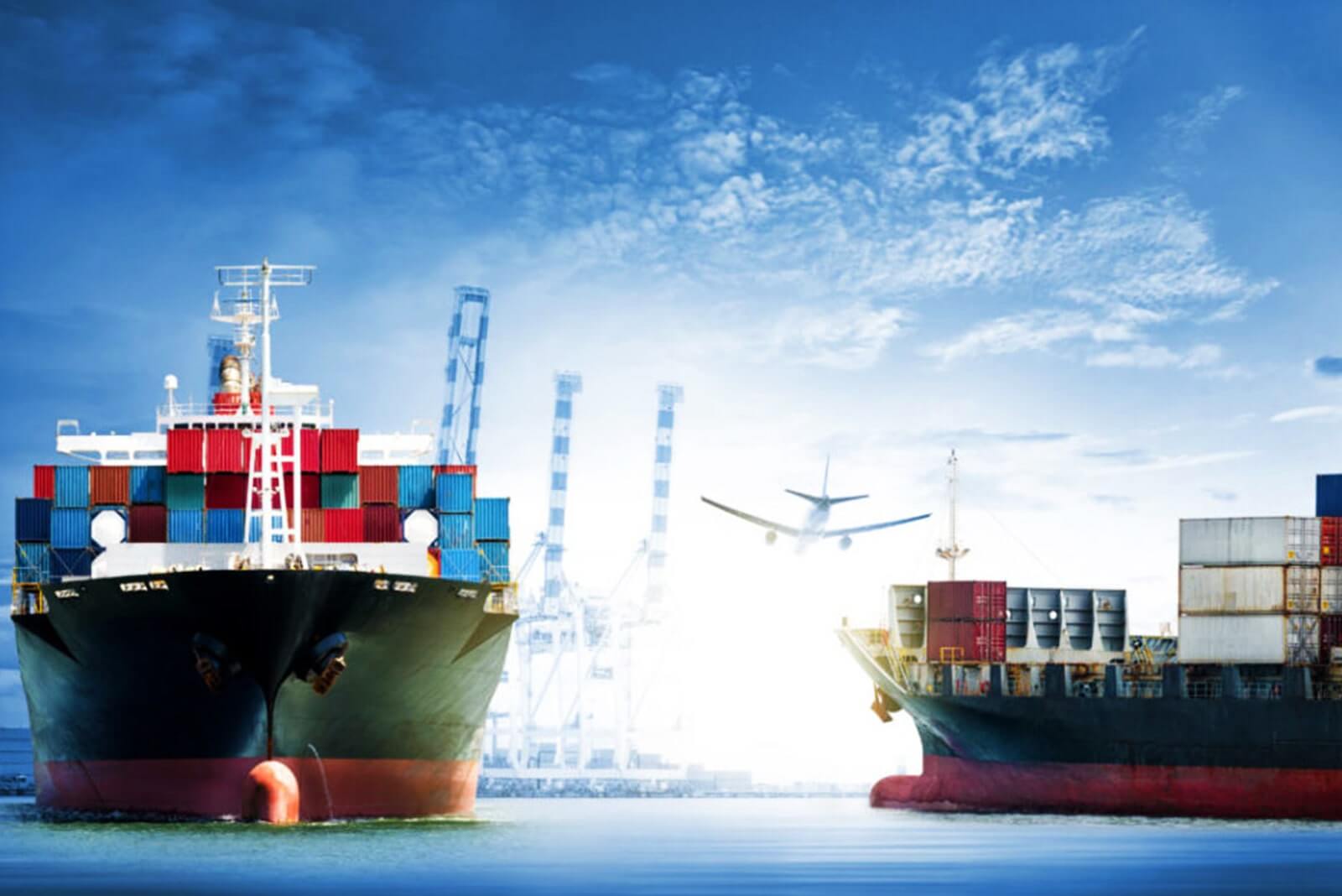Read more about the article Import and Export Companies